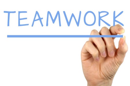Teamwork In An Organisation