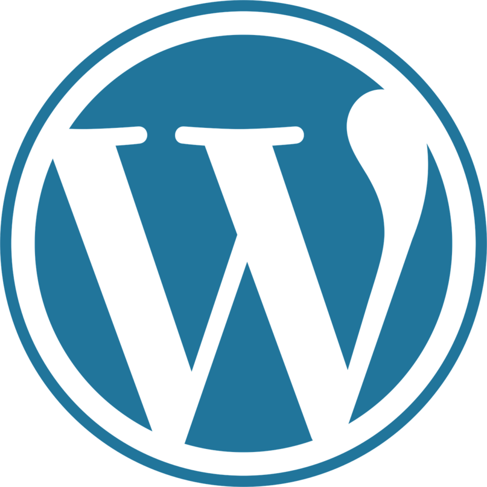 wordpress website optimization